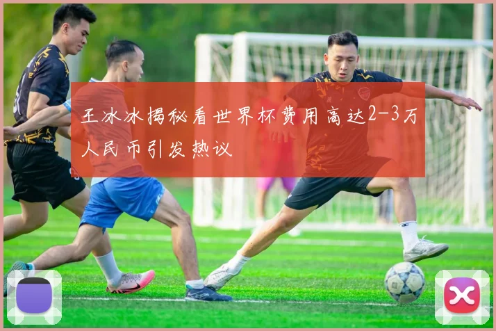 王冰冰揭秘看世界杯费用高达2-3万人民币引发热议