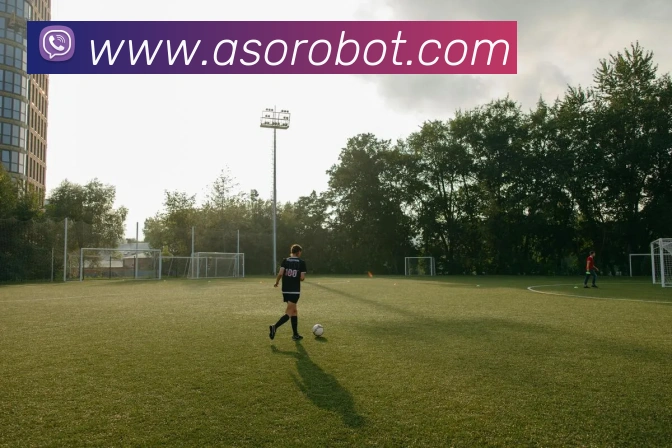 世界杯官网平台平台生态图